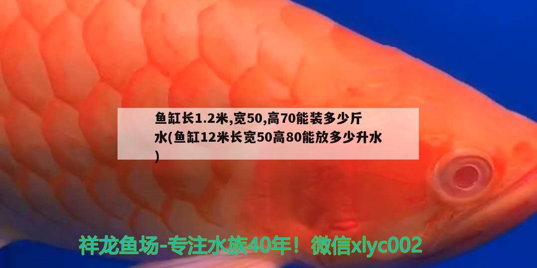 魚(yú)缸長(zhǎng)1.2米,寬50,高70能裝多少斤水(魚(yú)缸12米長(zhǎng)寬50高80能放多少升水) 觀賞魚(yú)市場(chǎng)