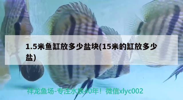 1.5米魚缸放多少鹽塊(15米的缸放多少鹽)