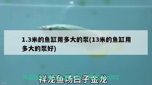 1.3米的魚缸用多大的泵(13米的魚缸用多大的泵好) 龍魚批發(fā)