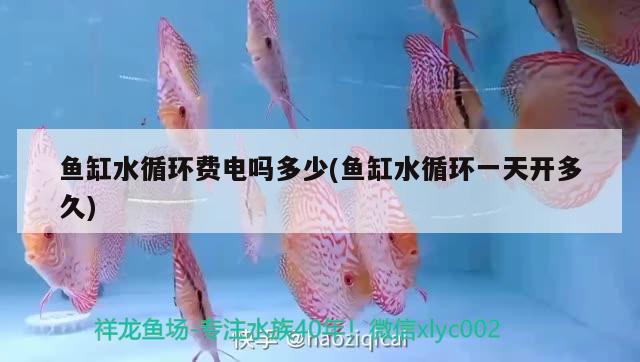 魚缸水循環(huán)費(fèi)電嗎多少(魚缸水循環(huán)一天開多久) 其它水族用具設(shè)備