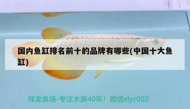 國(guó)內(nèi)魚缸排名前十的品牌有哪些(中國(guó)十大魚缸)