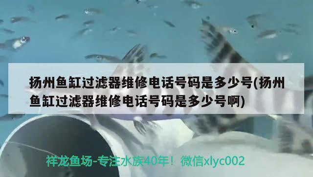 揚州魚缸過濾器維修電話號碼是多少號(揚州魚缸過濾器維修電話號碼是多少號啊)