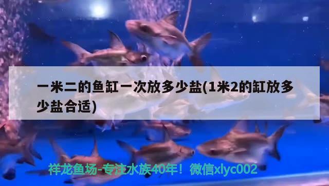 一米二的魚缸一次放多少鹽(1米2的缸放多少鹽合適)