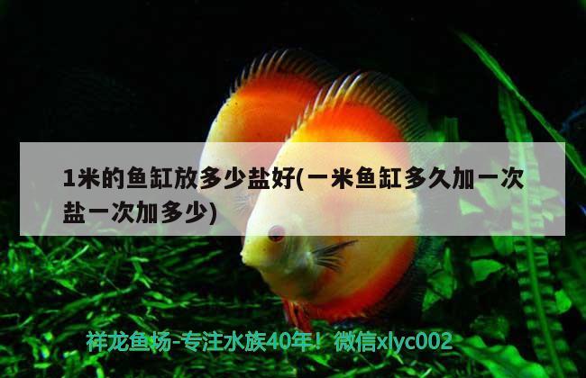 1米的魚缸放多少鹽好(一米魚缸多久加一次鹽一次加多少)