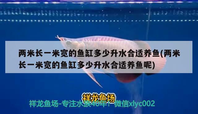 兩米長一米寬的魚缸多少升水合適養(yǎng)魚(兩米長一米寬的魚缸多少升水合適養(yǎng)魚呢)