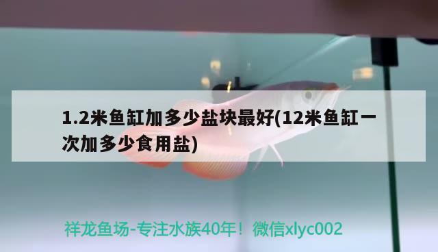 1.2米魚缸加多少鹽塊最好(12米魚缸一次加多少食用鹽)