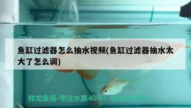 魚缸過(guò)濾器怎么抽水視頻(魚缸過(guò)濾器抽水太大了怎么調(diào))