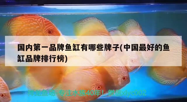 國(guó)內(nèi)第一品牌魚缸有哪些牌子(中國(guó)最好的魚缸品牌排行榜) 黑白雙星