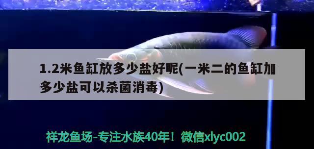 1.2米魚缸放多少鹽好呢(一米二的魚缸加多少鹽可以殺菌消毒) 黑水素