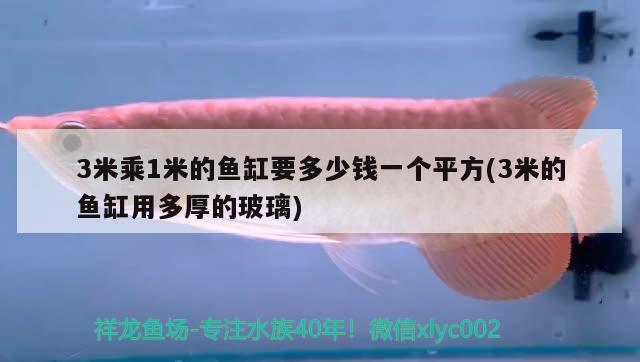 3米乘1米的魚缸要多少錢一個平方(3米的魚缸用多厚的玻璃)