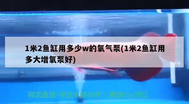 1米2魚缸用多少w的氧氣泵(1米2魚缸用多大增氧泵好)