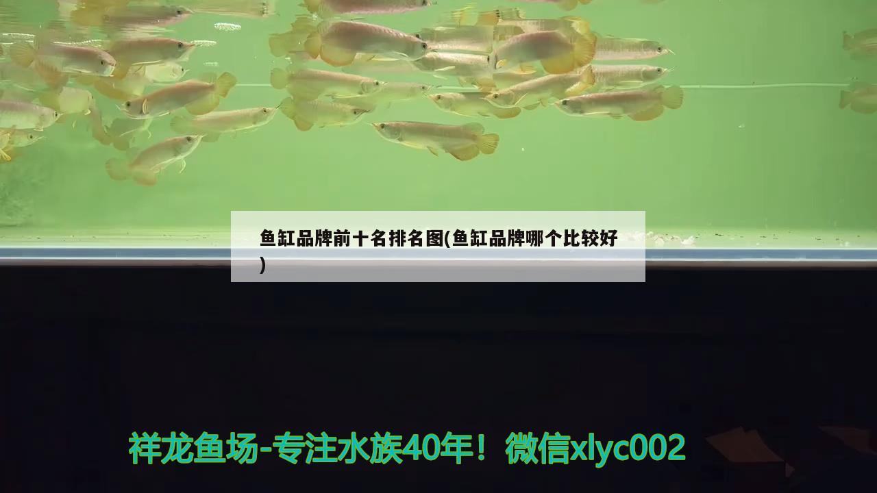 魚缸品牌前十名排名圖(魚缸品牌哪個比較好) 養(yǎng)魚知識