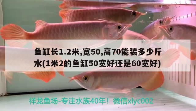 魚缸長1.2米,寬50,高70能裝多少斤水(1米2的魚缸50寬好還是60寬好)