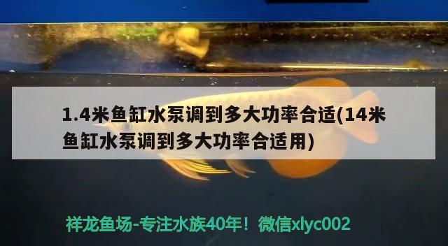 1.4米魚缸水泵調(diào)到多大功率合適(14米魚缸水泵調(diào)到多大功率合適用) 魚缸水泵