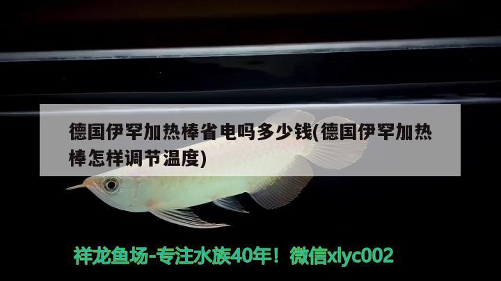 德國伊罕加熱棒省電嗎多少錢(德國伊罕加熱棒怎樣調(diào)節(jié)溫度) 伊罕水族