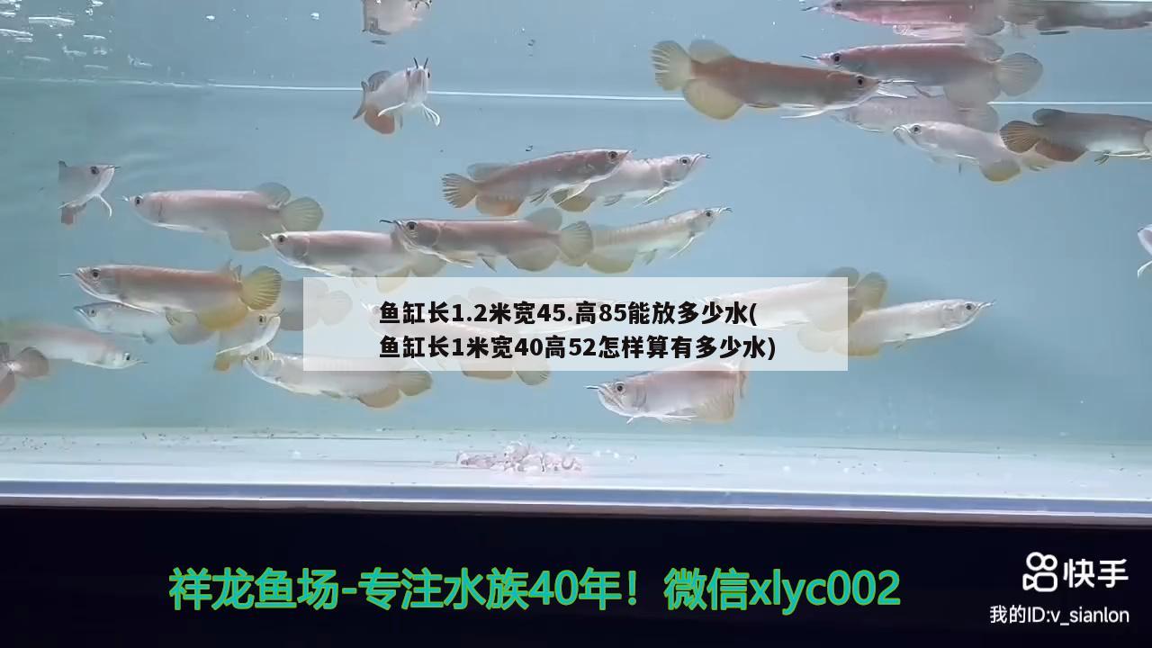 魚缸長1.2米寬45.高85能放多少水(魚缸長1米寬40高52怎樣算有多少水)