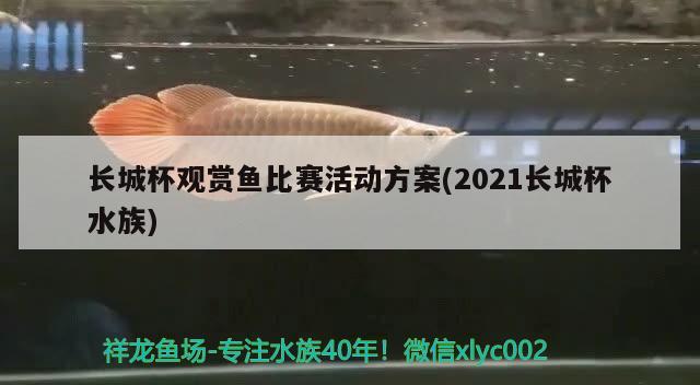 長(zhǎng)城杯觀賞魚比賽活動(dòng)方案(2021長(zhǎng)城杯水族) 2024第28屆中國(guó)國(guó)際寵物水族展覽會(huì)CIPS（長(zhǎng)城寵物展2024 CIPS）