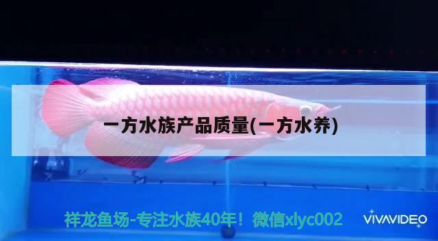 一方水族產品質量(一方水養(yǎng))