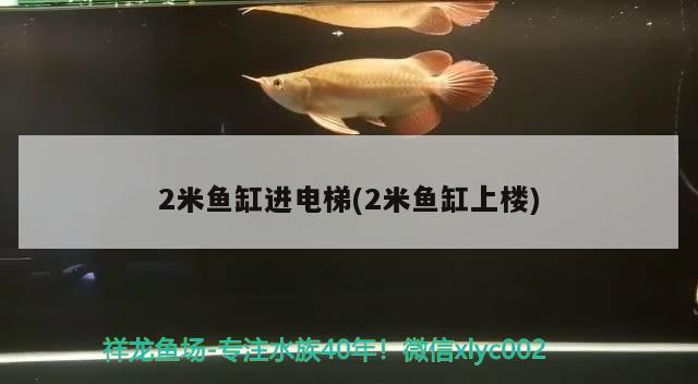 2米魚缸進(jìn)電梯(2米魚缸上樓)