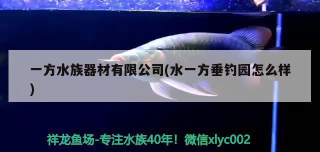 一方水族器材有限公司(水一方垂釣園怎么樣)