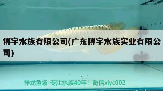 博宇水族有限公司(廣東博宇水族實業(yè)有限公司)