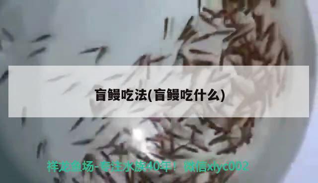 盲鰻吃法(盲鰻吃什么)