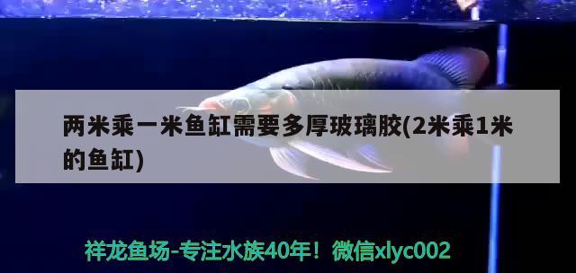 兩米乘一米魚缸需要多厚玻璃膠(2米乘1米的魚缸) 祥龍水族醫(yī)院