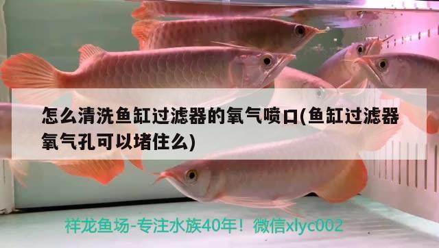 怎么清洗魚缸過(guò)濾器的氧氣噴口(魚缸過(guò)濾器氧氣孔可以堵住么) 祥龍藍(lán)珀金龍魚