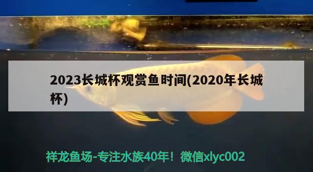 2023長城杯觀賞魚時間(2020年長城杯)