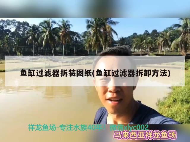 魚缸過濾器拆裝圖紙(魚缸過濾器拆卸方法)