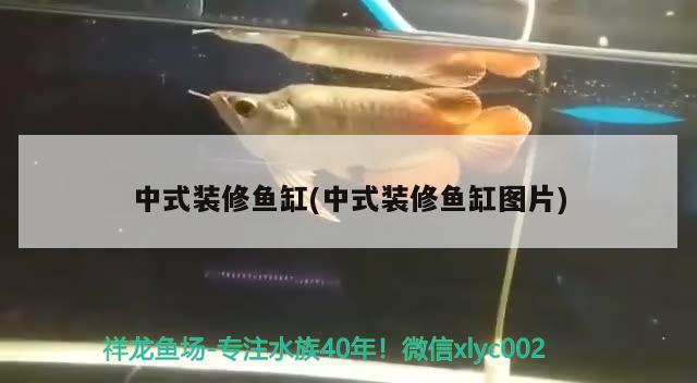 中式裝修魚缸(中式裝修魚缸圖片) 非洲象鼻魚