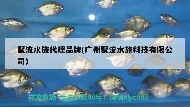 聚流水族代理品牌(廣州聚流水族科技有限公司)