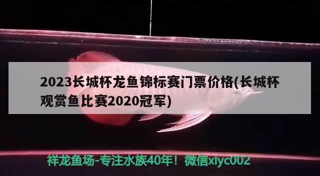 2023長城杯龍魚錦標(biāo)賽門票價(jià)格(長城杯觀賞魚比賽2020冠軍) 2024第28屆中國國際寵物水族展覽會(huì)CIPS（長城寵物展2024 CIPS）