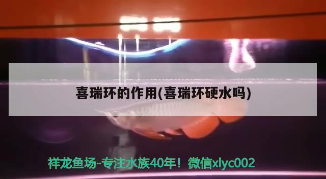 喜瑞環(huán)的作用(喜瑞環(huán)硬水嗎) 2024第28屆中國國際寵物水族展覽會CIPS（長城寵物展2024 CIPS）