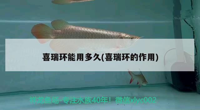 喜瑞環(huán)能用多久(喜瑞環(huán)的作用) 2024第28屆中國國際寵物水族展覽會(huì)CIPS（長城寵物展2024 CIPS）