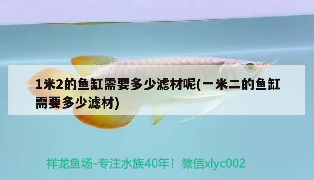 1米2的魚缸需要多少濾材呢(一米二的魚缸需要多少濾材)