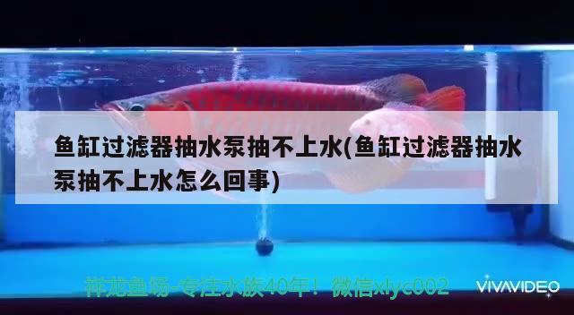 魚缸過濾器抽水泵抽不上水(魚缸過濾器抽水泵抽不上水怎么回事)