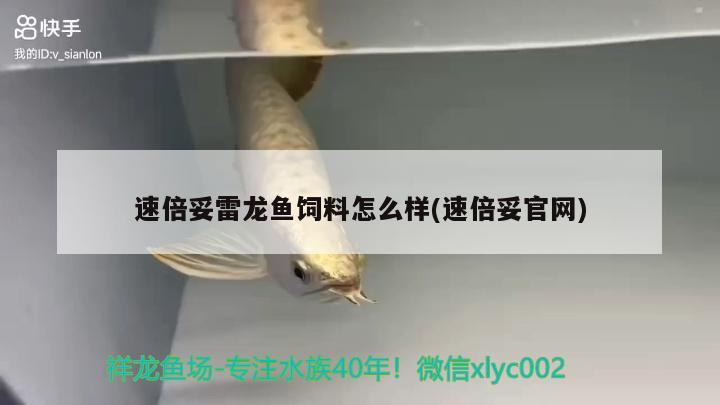 速倍妥雷龍魚飼料怎么樣(速倍妥官網(wǎng))