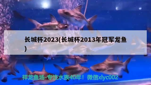 長城杯2023(長城杯2013年冠軍龍魚) 2024第28屆中國國際寵物水族展覽會CIPS（長城寵物展2024 CIPS）