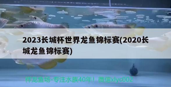 2023長(zhǎng)城杯世界龍魚錦標(biāo)賽(2020長(zhǎng)城龍魚錦標(biāo)賽) 2025第29屆中國(guó)國(guó)際寵物水族展覽會(huì)CIPS（長(zhǎng)城寵物展2025 CIPS）