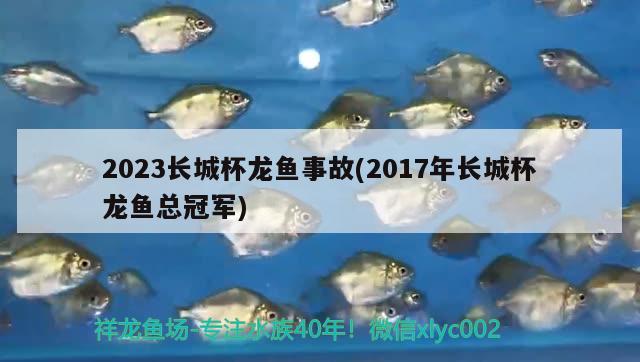 2023長城杯龍魚事故(2017年長城杯龍魚總冠軍) 2025第29屆中國國際寵物水族展覽會(huì)CIPS（長城寵物展2025 CIPS） 第3張