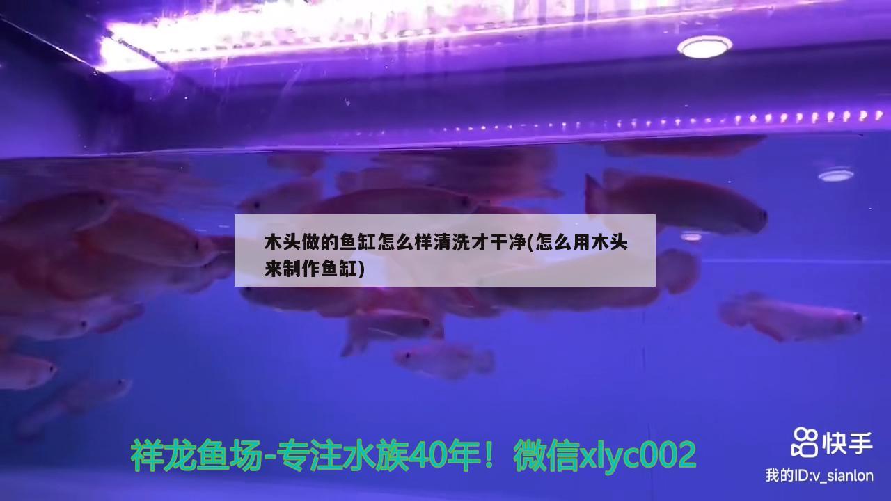 木頭做的魚缸怎么樣清洗才干凈(怎么用木頭來制作魚缸)