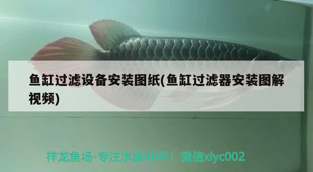 魚缸過濾設(shè)備安裝圖紙(魚缸過濾器安裝圖解視頻)