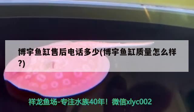 博宇魚缸售后電話多少(博宇魚缸質(zhì)量怎么樣?) 2025第29屆中國(guó)國(guó)際寵物水族展覽會(huì)CIPS（長(zhǎng)城寵物展2025 CIPS）