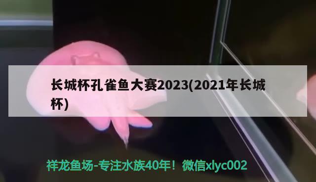 長城杯孔雀魚大賽2023(2021年長城杯)