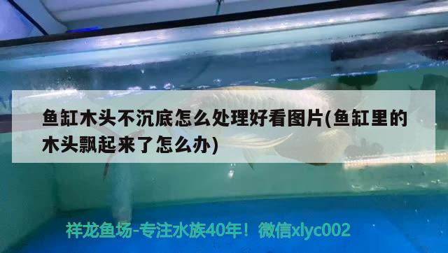 魚缸木頭不沉底怎么處理好看圖片(魚缸里的木頭飄起來了怎么辦)