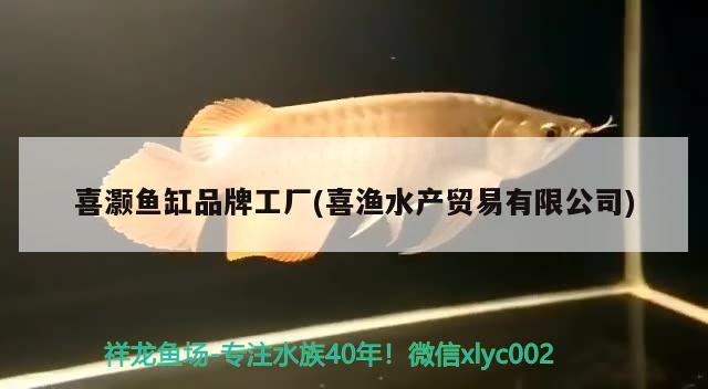 喜灝魚缸品牌工廠(喜漁水產(chǎn)貿(mào)易有限公司) 2024第28屆中國國際寵物水族展覽會CIPS（長城寵物展2024 CIPS）