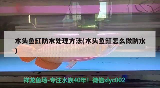 木頭魚缸防水處理方法(木頭魚缸怎么做防水)