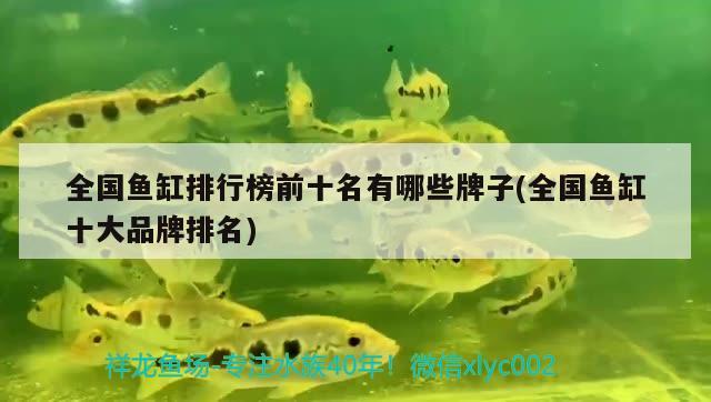 全國魚缸排行榜前十名有哪些牌子(全國魚缸十大品牌排名)