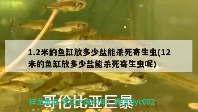 1.2米的魚缸放多少鹽能殺死寄生蟲(12米的魚缸放多少鹽能殺死寄生蟲呢)